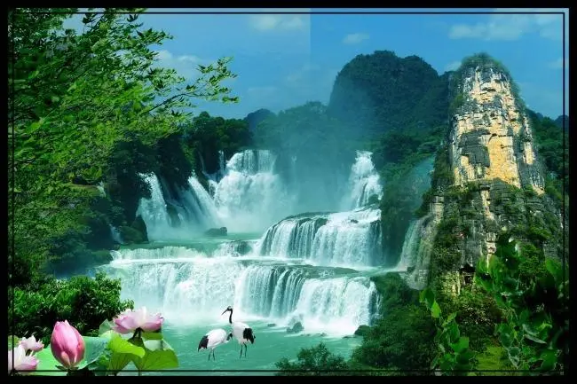网络化高精度
